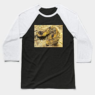 A dead wood looks like an animal Baseball T-Shirt